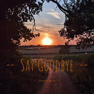 Say Goodbye lyrics | Boomplay Music
