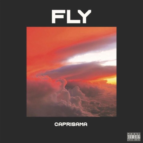 Fly | Boomplay Music