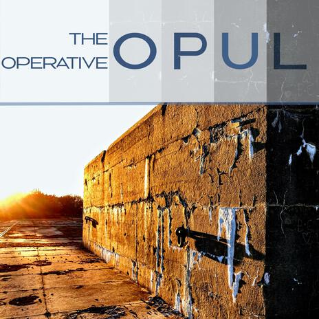 The Operative | Boomplay Music