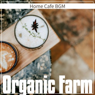 Home Cafe BGM