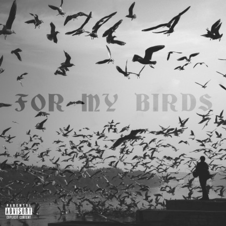 For My Birds | Boomplay Music