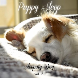 Sleeping Dog Volume 10