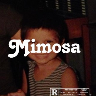 Mimosa lyrics | Boomplay Music