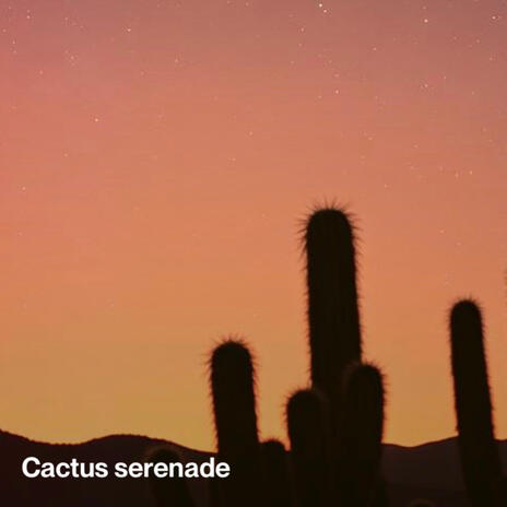 RohShark Cactus serenade Lyrics | Boomplay