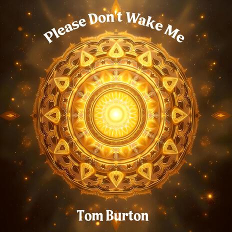 Please Don't Wake Me | Boomplay Music