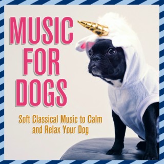 Music for Dogs: Soft Classical Music to Calm and Relax Your Dog