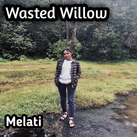 Wasted Willow | Boomplay Music