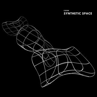 Synthetic Space