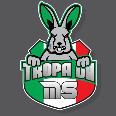 Tropa da Ms | Boomplay Music