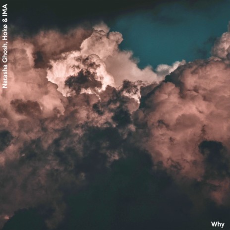 Why (feat. Natasha Ghosh) | Boomplay Music