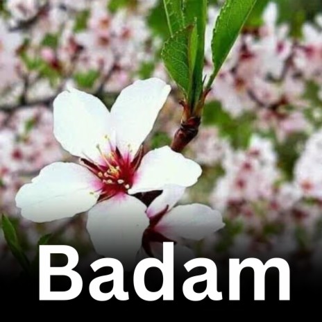 Badam | Boomplay Music
