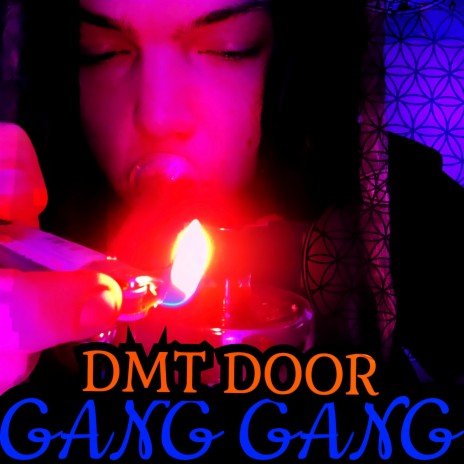 DMT DOOR