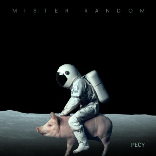 Mister Random