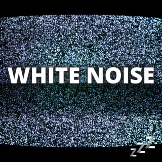 TV Static (White Noise Loop)