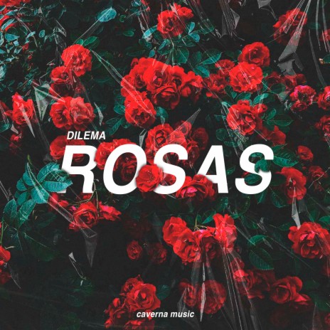 Rosas | Boomplay Music