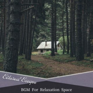 Bgm for Relaxation Space