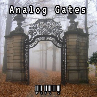 Analog Gates 2