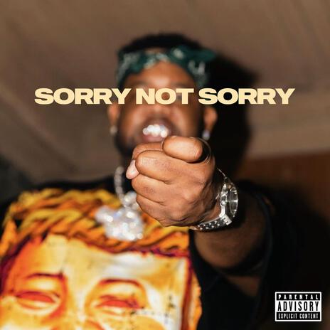 Sorry Not Sorry Freestyle | Boomplay Music