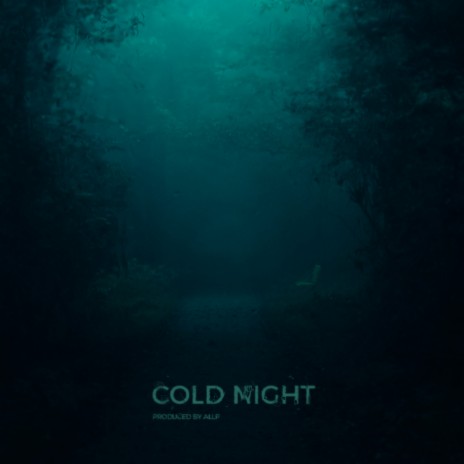Cold Night | Boomplay Music
