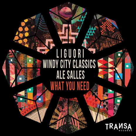 What You Need ft. Ale Salles & Windy City Classics | Boomplay Music