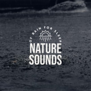 Nature Sounds Of Rain For Sleep