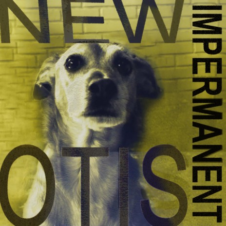 New Otis | Boomplay Music