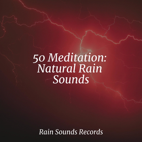 Raindrop Melodies in Silence ft. New Age & Sounds Of Nature : Thunderstorm, Rain | Boomplay Music