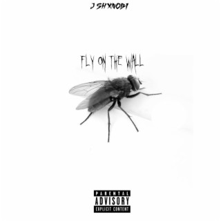 FLY ON THE WALL