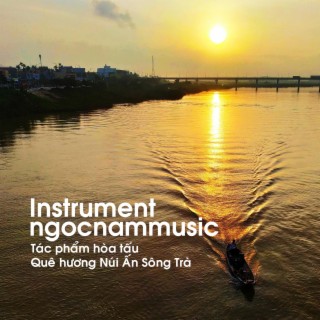 Instrument ngocnamMusic