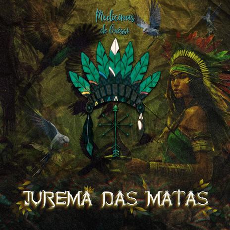 Jurema das Matas | Boomplay Music