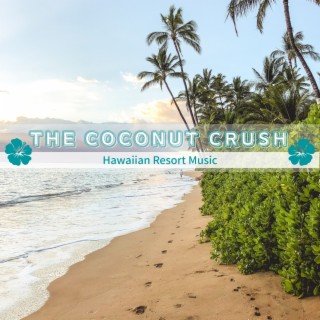 Hawaiian Resort Music