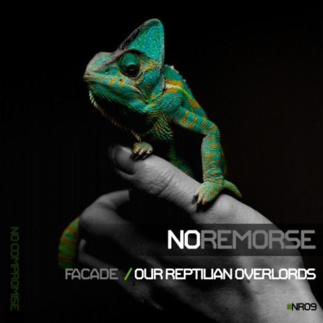 Our Reptilian Overlords | Boomplay Music