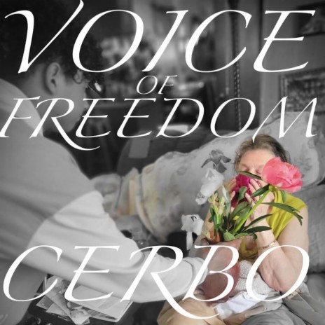 Voice of Freedom | Boomplay Music