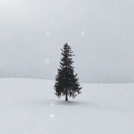 Yule Tide ft. Lazy Tree Records | Boomplay Music