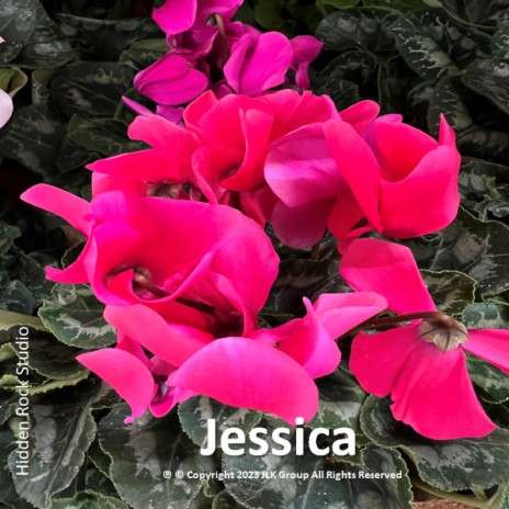 Jessica | Boomplay Music