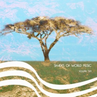 Shades of World Music Vol, 10