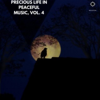 Precious Life in Peaceful Music, Vol. 4