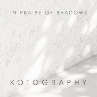 In Praise of Shadows