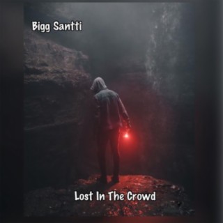 Lost in the Crowd lyrics | Boomplay Music