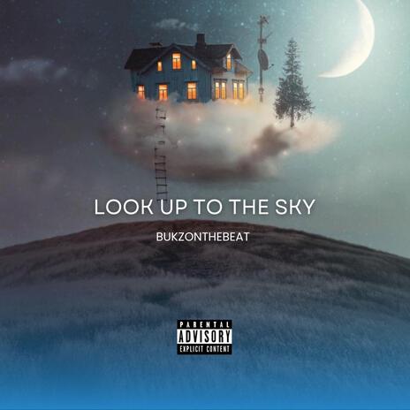 Look Up To The Sky | Boomplay Music