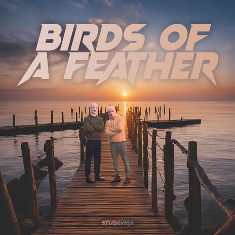 BIRDS OF A FEATHER ft. Arild Aas | Boomplay Music