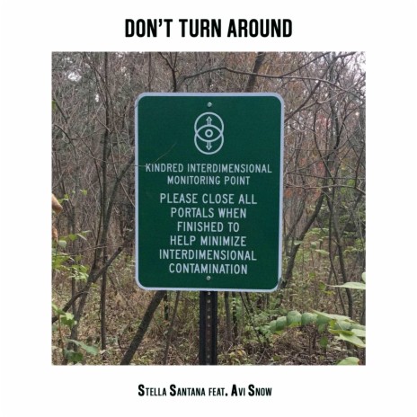 Don't Turn Around ft. Avi Snow | Boomplay Music