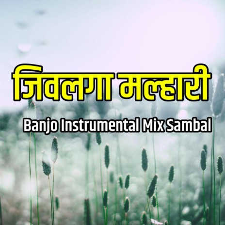 Jiv Laga Malhari | Boomplay Music