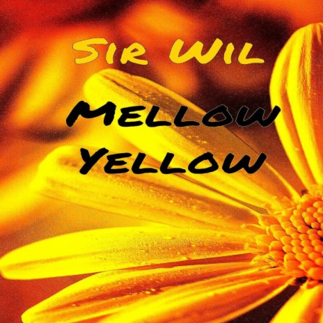 Mellow Yellow | Boomplay Music