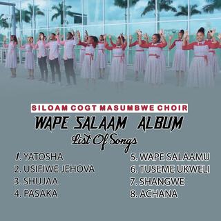 WAPE SALAAM ALBUM (SILOAM COGT MASUMBWE CHOIR)