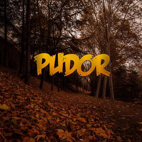 Pudor | Boomplay Music