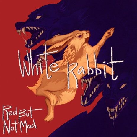 White Rabbit | Boomplay Music