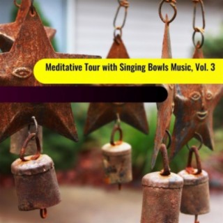 Meditative Tour with Singing Bowls Music, Vol. 3
