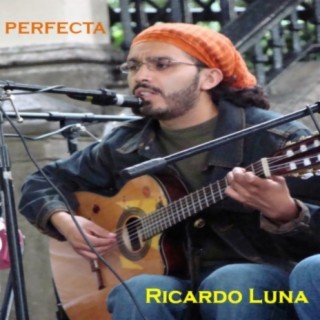 Perfecta lyrics | Boomplay Music