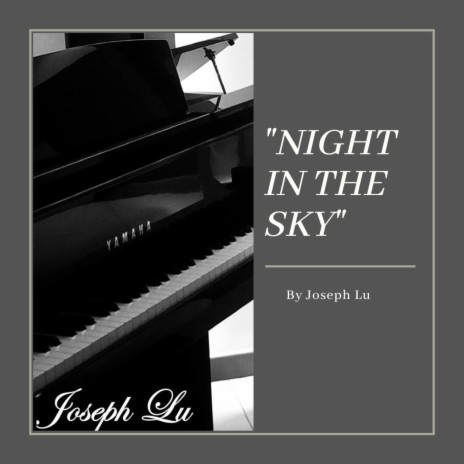 NIGHT IN THE SKY | Boomplay Music